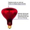 Código: 48324 Lámpara incandescente de calor, BR40 270 Watts, rojo BR-40I